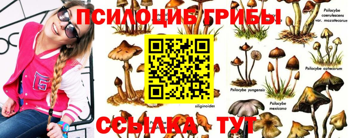 купить наркотик  Вход с VPN  Скопин  Галлюциногенные грибы GOLDEN TEACHER 